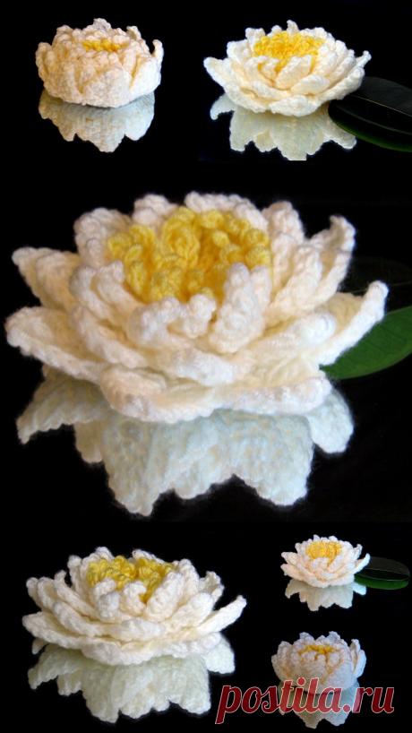 Water Lily | Make My Day Creative