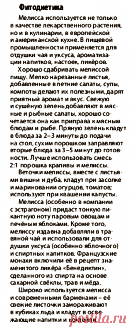 Мелисса в кулинарии