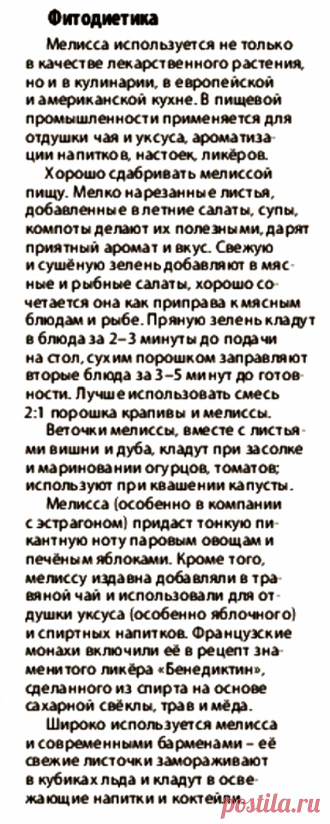 Мелисса в кулинарии
