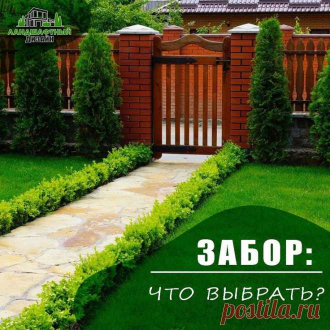 Ландшафтный дизайн как создать уникальный облик для вашего участка? в 2025 г | Озеленение заднего двора, Планы садового дизайна