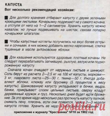 Капуста: рекомендации хозяйкам
