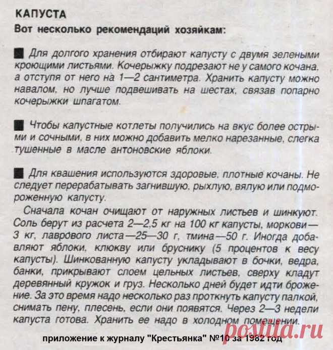Капуста: рекомендации хозяйкам