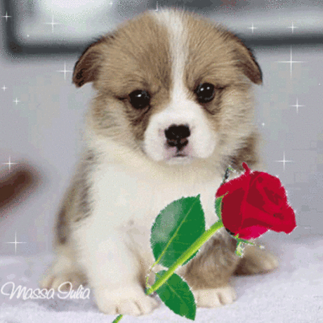 26dff8c8779e78475f6191c37e633c4d.gif (400×400)