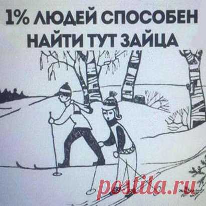 А ВЫ НАШЛИ ТУТ ЗАЙЦА