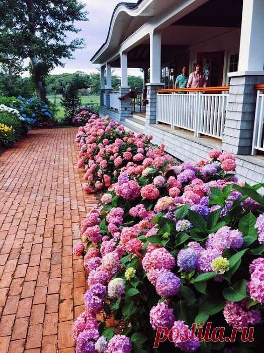 Примеры оформления сада в нынешний сезон / Я - суперпупер