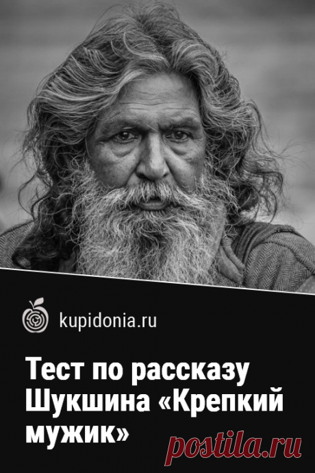 Тест по рассказу Шукшина «Крепкий мужик». Проверочный тест по произведению Шукшина «Крепкий мужик». Русская литература, советская литература, школьная программа. Проверьте свои знания!