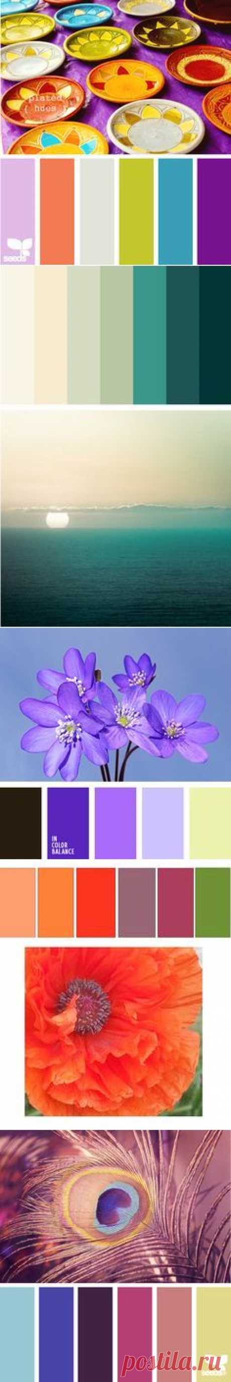 Цветовая палитра №2097 | Blog Designs | Color Palettes, Colors and Color Pallets