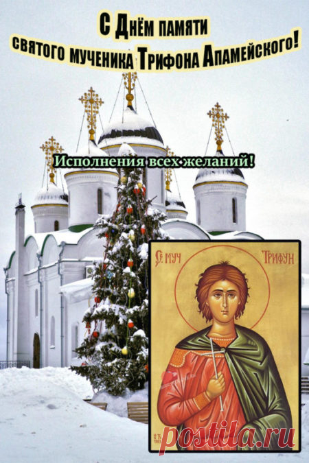 Картинки на Трифонов день: открытки с надписями на 14 февраля 2024