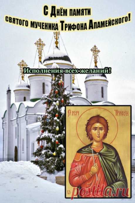 Картинки на Трифонов день: открытки с надписями на 14 февраля 2024