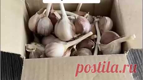 Полезные советы