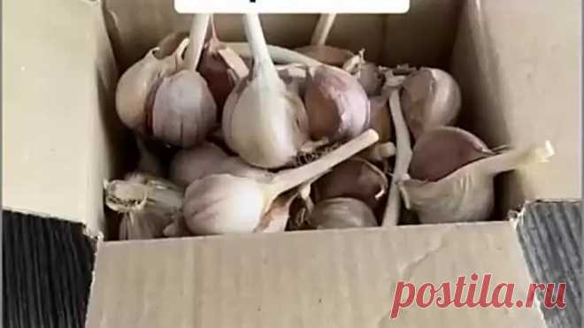 Полезные советы
