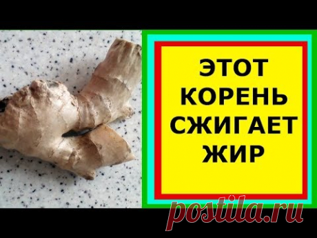 Похудение Еще Никогда Не Было Таким Простым?
Имбирная диета очень полезная и вкусная диета. 
В этом видео я расскажу, что можно, а чего нельзя во время соблюдения такого типа питания. Поговорим о правилах соблюдения имбирной диеты и приведу примерное меню на неделю.