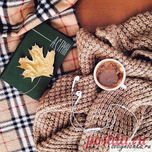 Чашка кофе, книга и кленовый лист на теплых пледах, фото на тему 