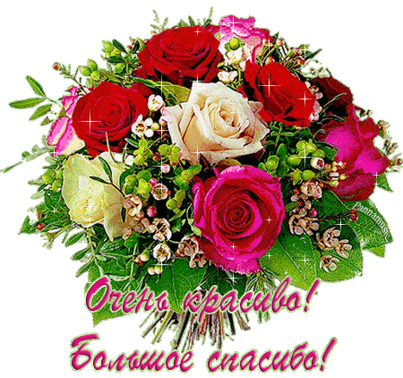 БОЛЬШОЕ СПАСИБО!