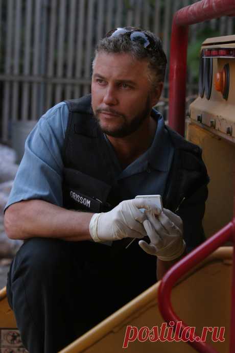 Уильям Петерсен (William Petersen)