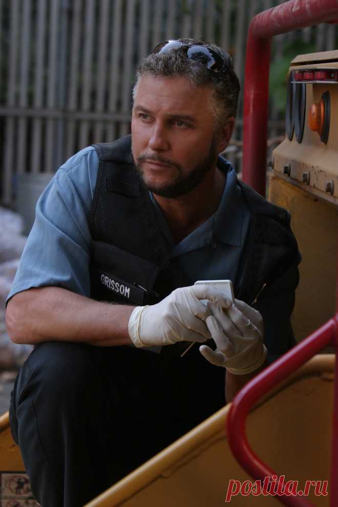 Уильям Петерсен (William Petersen)