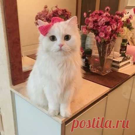 К свиданию готова
