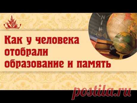 Как у человека отобрали образование и память (Алёна Полынь)