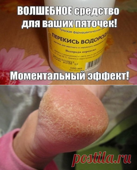 (1) Одноклассники
