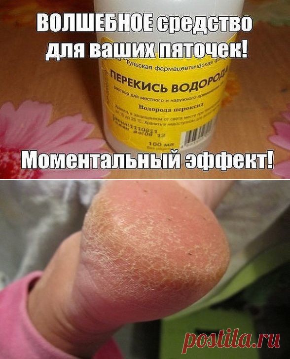 (1) Одноклассники