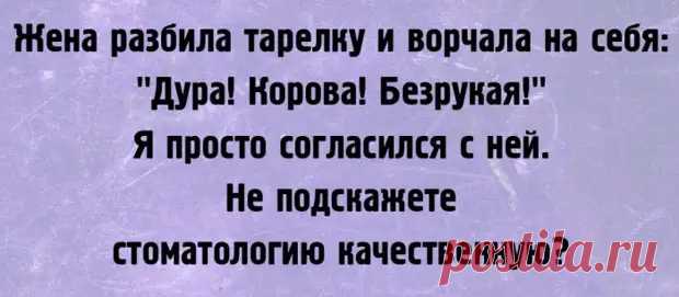 (34) А жизненно... - ЭпиЦентр позитива - 2 февраля - 43989281822 - Медиаплатформа МирТесен