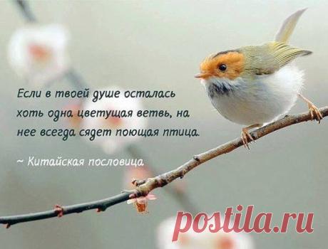 )))