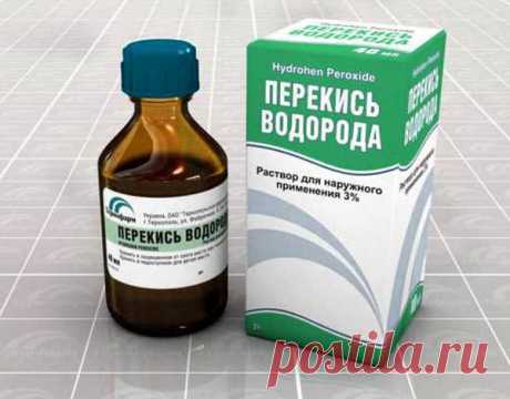 Выращиваем рассаду баклажанов из семян: секреты дачников