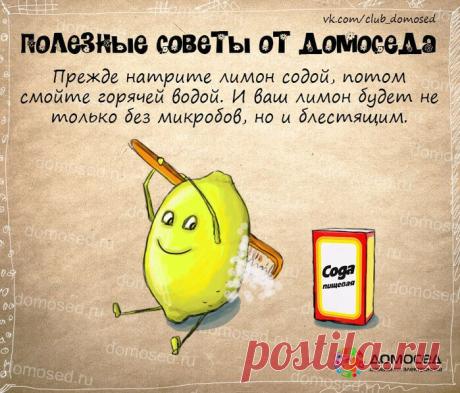 Полезные советы от Домоседа