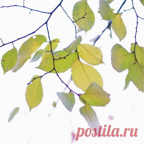 ........ listening to Peter G.