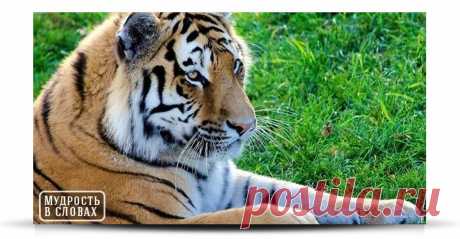 Тот, кто не ХОЧЕТ слушать, не УСЛЫШИТ и не поверит, а тот, кто верит и понимает, не нуждается в объяснениях. Рада представить  Вам , MLM  ШКОЛУ !!!  ОВЛАДЕЙ в  ШКОЛЕ  Искусством   Профессионально  Продавать с помощью  Интернет-технологий   !!!  Получи Помощь и Поддержку !! УВИДИМСЯ на вступительном   БЕСПЛАТНОМ КУРСЕ - ЧТО МЕШАЕТ СТАТЬ УСПЕШНЫМ ДИСТРИБЬЮТОРОМ! Думаю , Вам Понравится. ПОНРАВИТСЯ  настолько , что захотите применить  их  в своей