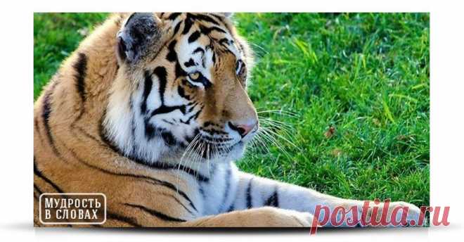 Тот, кто не ХОЧЕТ слушать, не УСЛЫШИТ и не поверит, а тот, кто верит и понимает, не нуждается в объяснениях. Рада представить  Вам , MLM  ШКОЛУ !!!  ОВЛАДЕЙ в  ШКОЛЕ  Искусством   Профессионально  Продавать с помощью  Интернет-технологий   !!!  Получи Помощь и Поддержку !! УВИДИМСЯ на вступительном   БЕСПЛАТНОМ КУРСЕ - ЧТО МЕШАЕТ СТАТЬ УСПЕШНЫМ ДИСТРИБЬЮТОРОМ! Думаю , Вам Понравится. ПОНРАВИТСЯ  настолько , что захотите применить  их  в своей