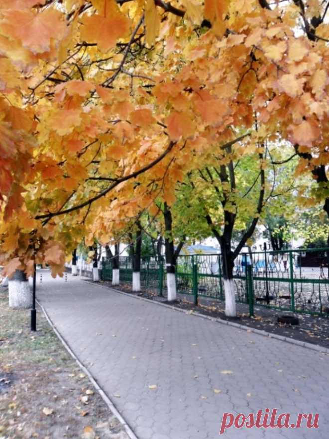 Хождение на Папай... - 26 Января 2016 - Персональный сайт