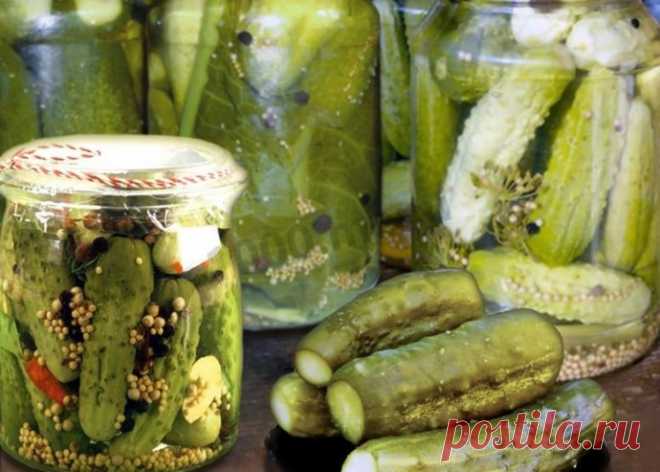 Соленые огурцы с горчицей на зиму Это рецепт самых вкусных огурцов, как из бочки, его мне рассказала мама, самый простой и проверенный способ!Порций: 3Время приготовления: 3 д. 20 м. (На подготовку банок и закладывание ингредиентов 20 мин., на засолку 3 дня.)Ингредиенты (3 порции)Вода — 1.5 л (Питьевая)Горчица — 3 ч.л....