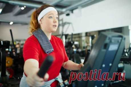 5 мифов о сжигании жира | MISSFIT.RU | Яндекс Дзен