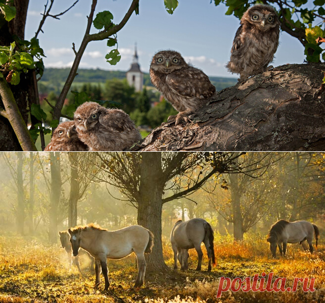 Германия - радушие друзей: путешествия, отдых, отпуск