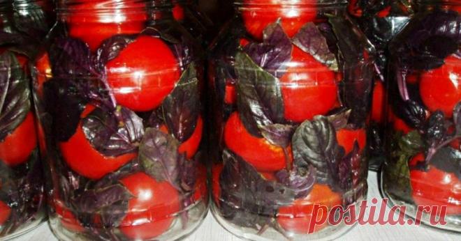 МАРИНОВАННЫЕ ПОМИДОРЫ ПО-ИТАЛЬЯНСКИ — ЗАКУСКА ПОТРЯСАЮЩЕЙ НЕЖНОСТИ. ИДЕАЛЬНЫЙ БАЛАНС СЛАДОСТИ И ОСТРОТЫ Невероятно ароматные, они мгновенно покоряют сладко-пряным вкусом с обязательной кислинкой.