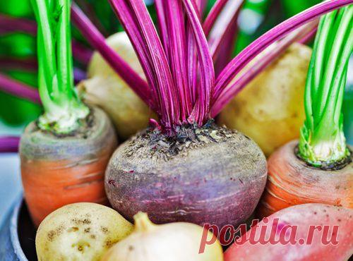 Мама, извращенцы! Мама, сколько их!!! Мы такие же?! | Безумная звезда