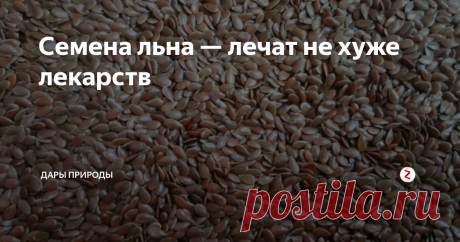 Семена льна — лечат не хуже лекарств О пользе семян льна