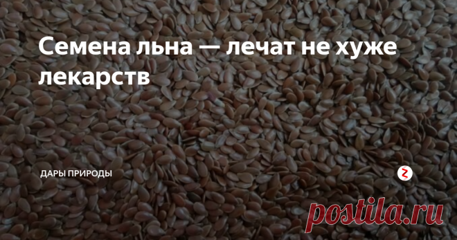 Семена льна — лечат не хуже лекарств О пользе семян льна