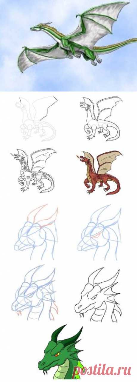Как нарисовать дракона поэтапно карандашом и красками