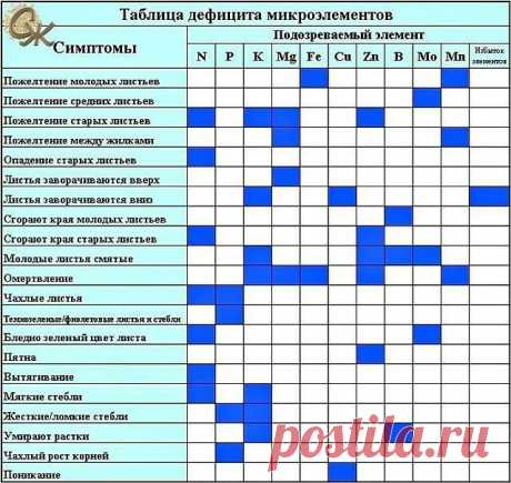 Одноклассники