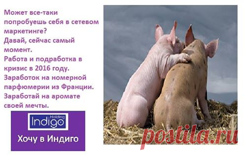 (97) Виталий Гречухо