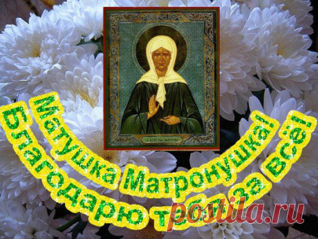 * * * * * * * * * * * *