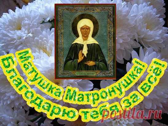 * * * * * * * * * * * *