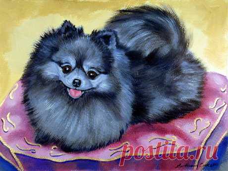 Joyful - Pomeranian by Lyn Cook Joyful - Pomeranian Painting by Lyn Cook