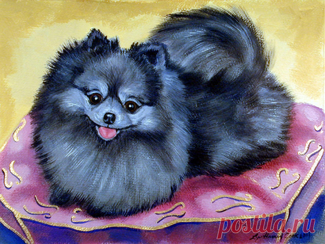 Joyful - Pomeranian by Lyn Cook Joyful - Pomeranian Painting by Lyn Cook