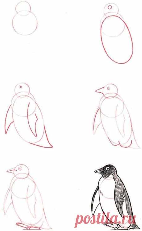 40+ Fáceis Ideias de Desenhos de Esboços de Animais – Eu Geek ?