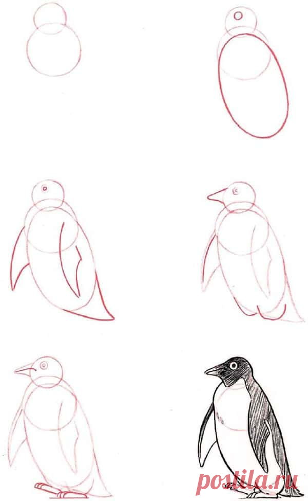 40+ Fáceis Ideias de Desenhos de Esboços de Animais – Eu Geek ?