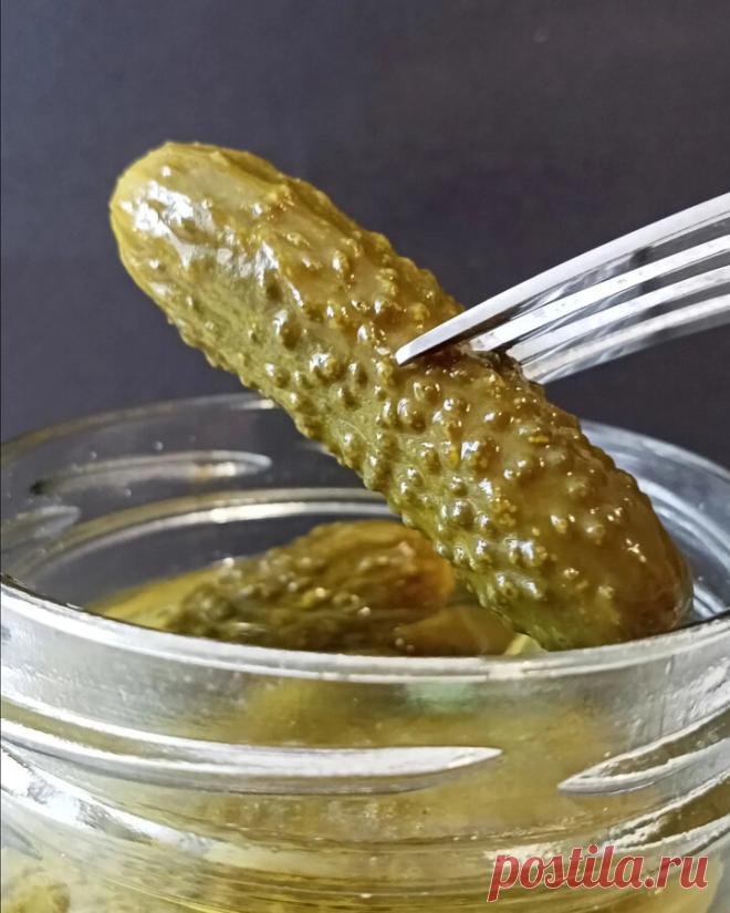 Сытый папа | Яндекс Дзен