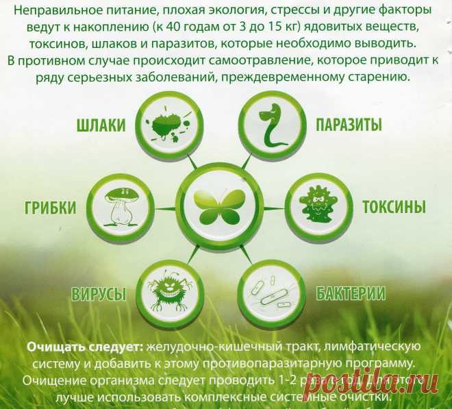 Как нас защищает природа? - Леди К°

Любите своё тело, прекрасный организм, который может самостоятельно сохранять здоровье.
Мей Ляндуо